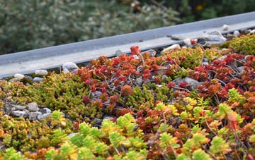 the cost of Cladach A Bhaile Shear green roof installation