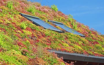 Cladach A Bhaile Shear living roof systems