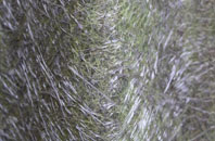 Cladach A Bhaile Shear fibreglass roof work